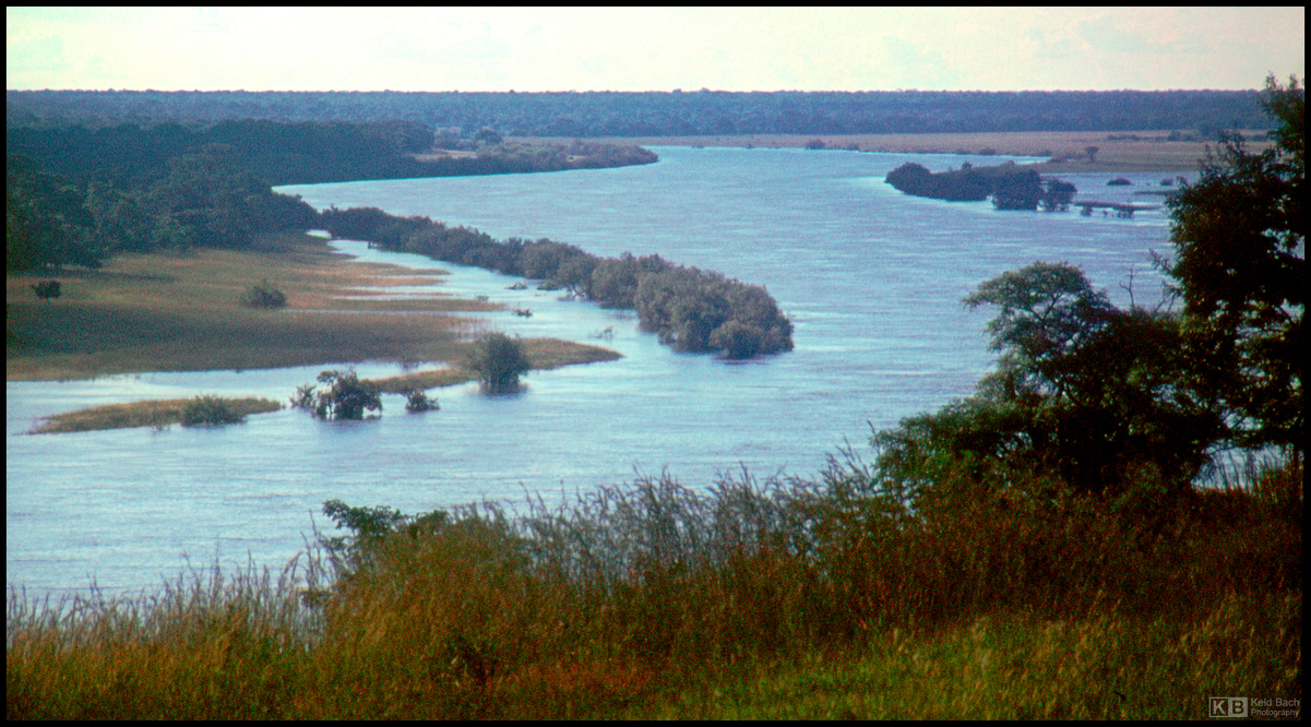 Zambezi River, Flooded