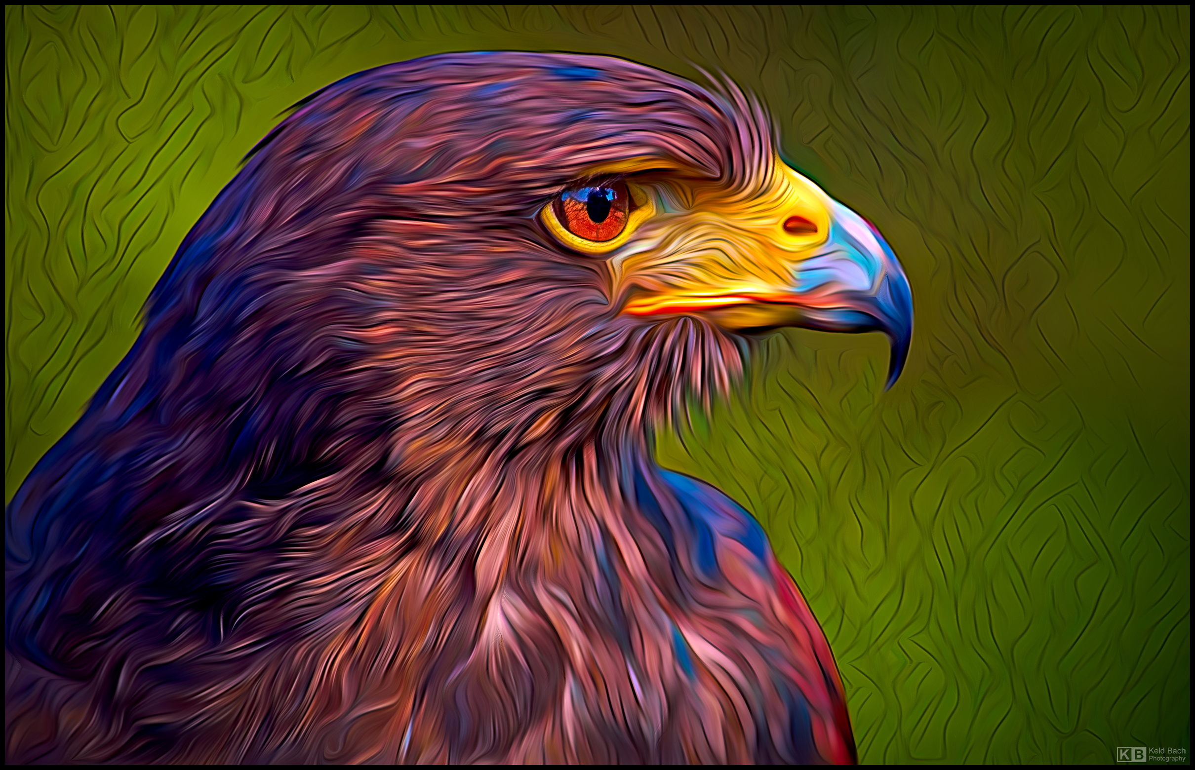 Expressive Harris' Hawk