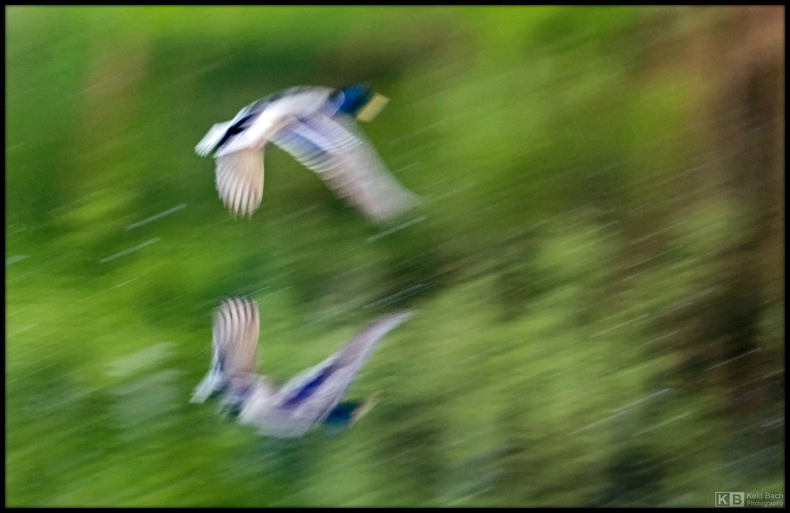 Ghost Flight