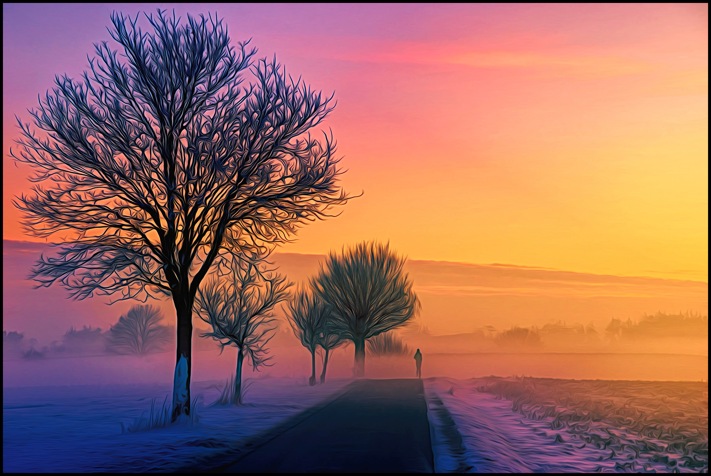 Misty Winter Sunrise