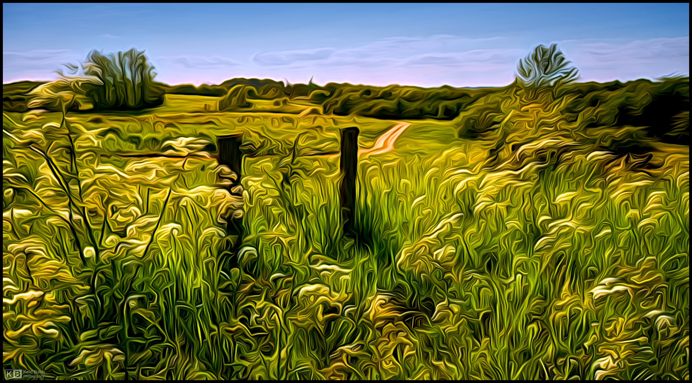 Into the Countryside