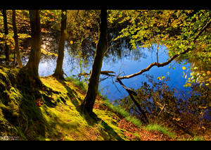 Early Autumn Mood by KeldBach Early Autumn Mood by KeldBach