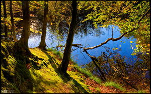 Early Autumn Mood by KeldBach Early Autumn Mood by KeldBach