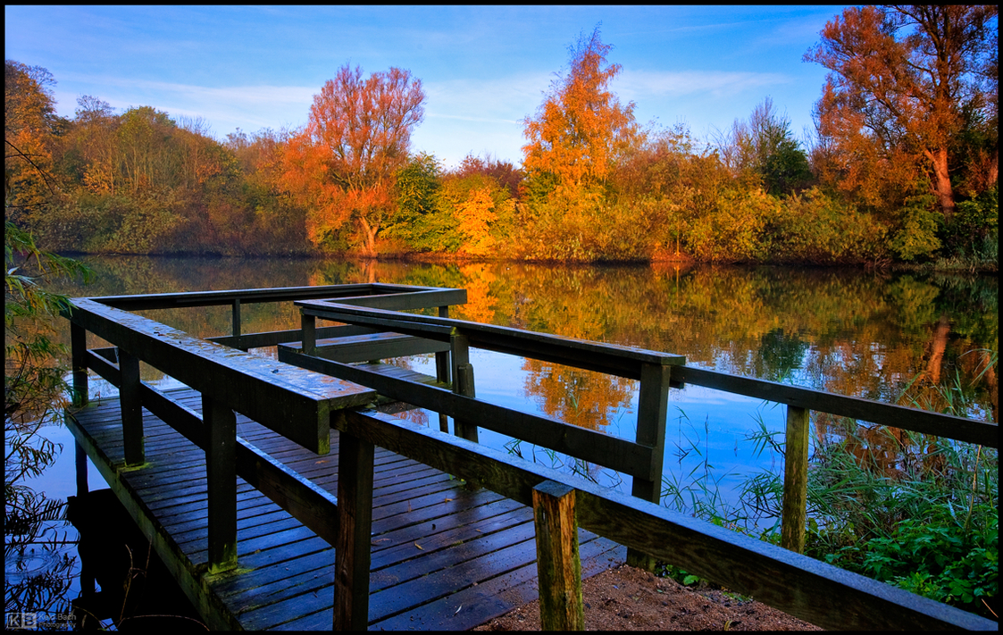 Autumn Morning in the Park