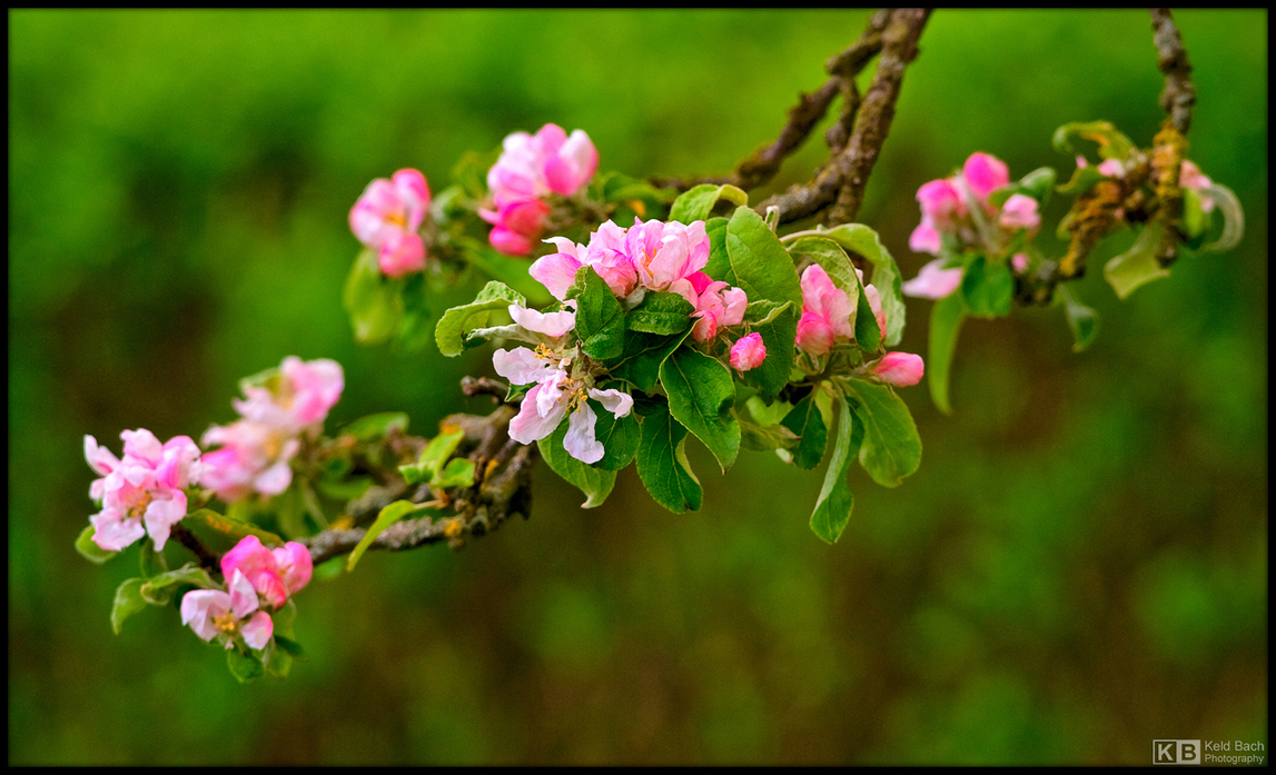 Better Late than Never