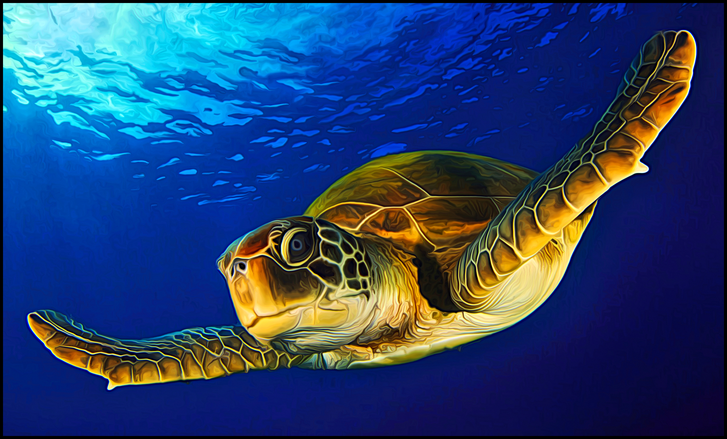 Green Sea Turtle