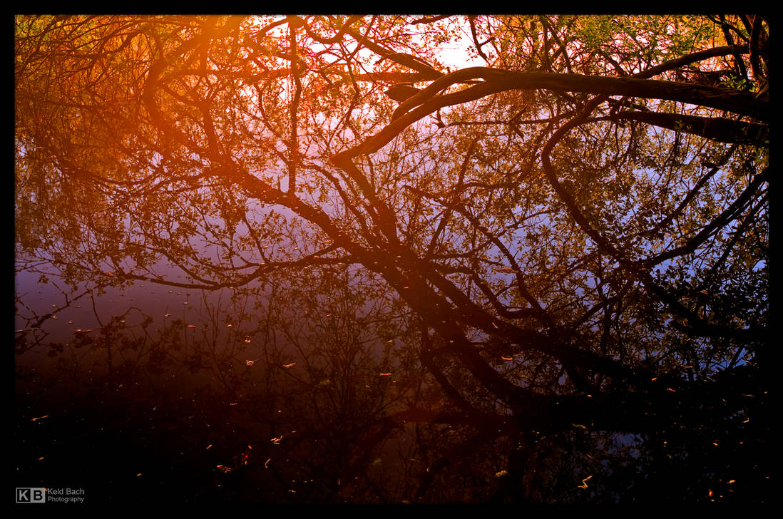 Let There Be Light by KeldBach