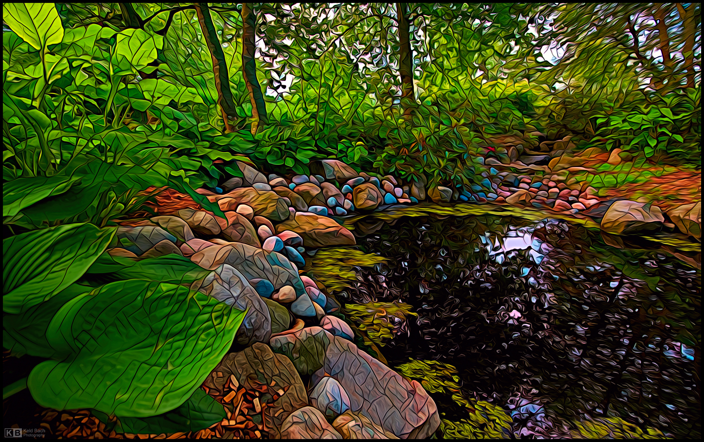 Campus Pond