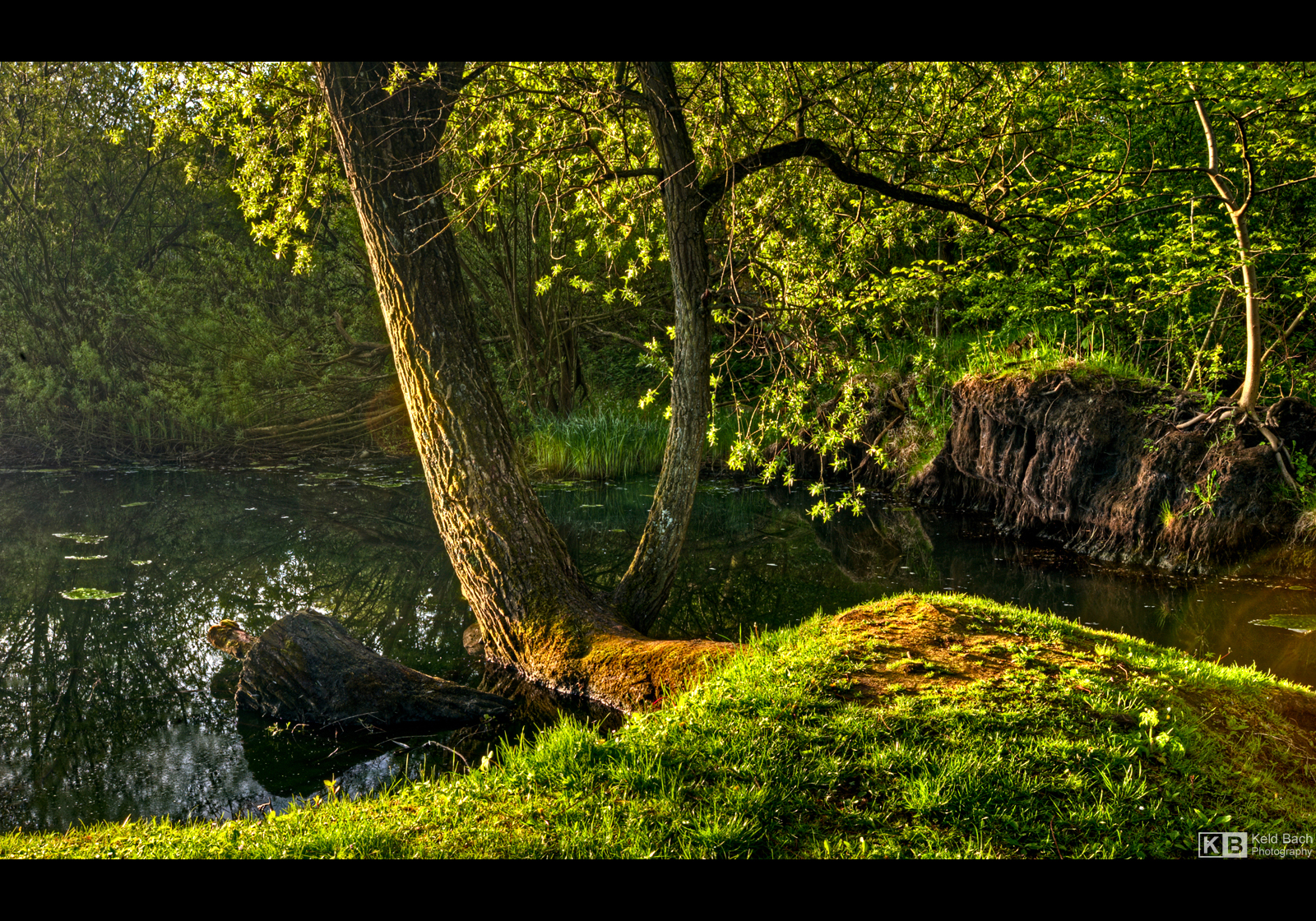 The Grassy Knoll by KeldBach