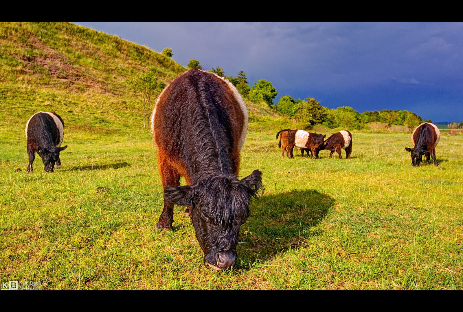Mrs. Galloway by KeldBach
