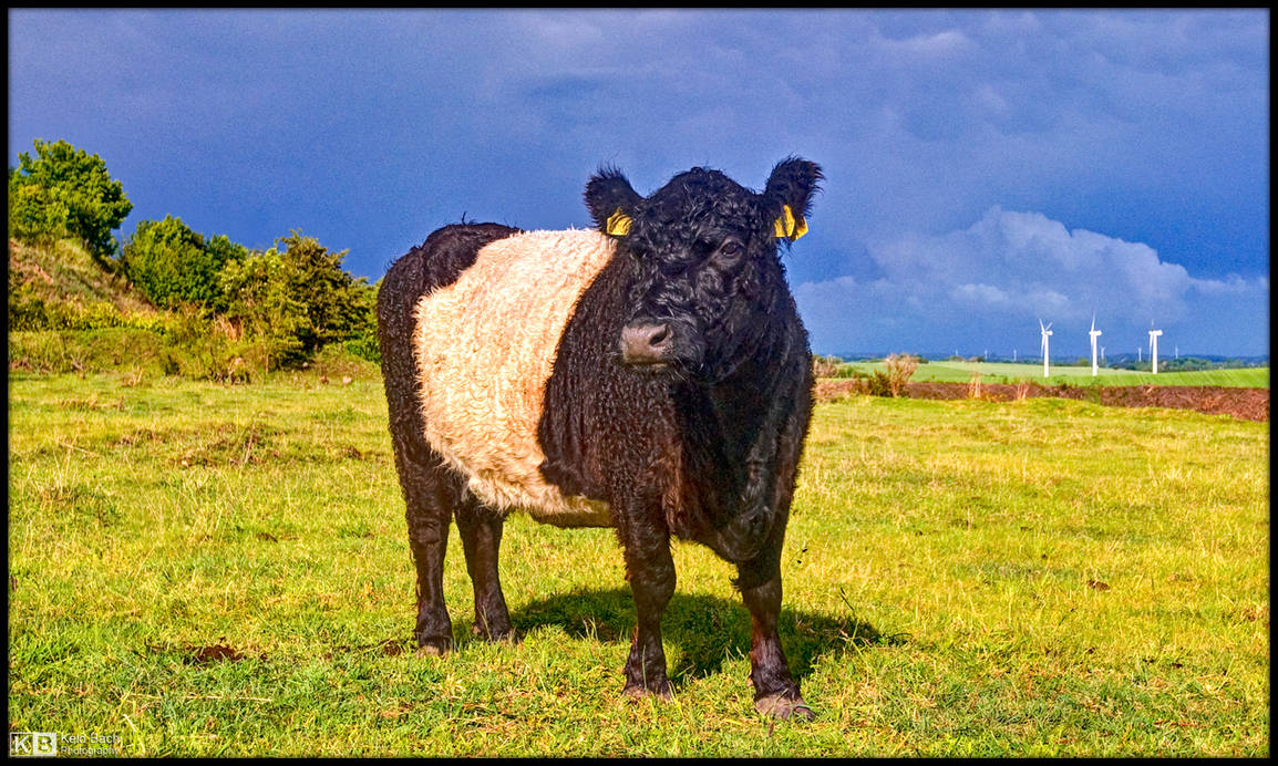 Mr. Galloway by KeldBach on DeviantArt