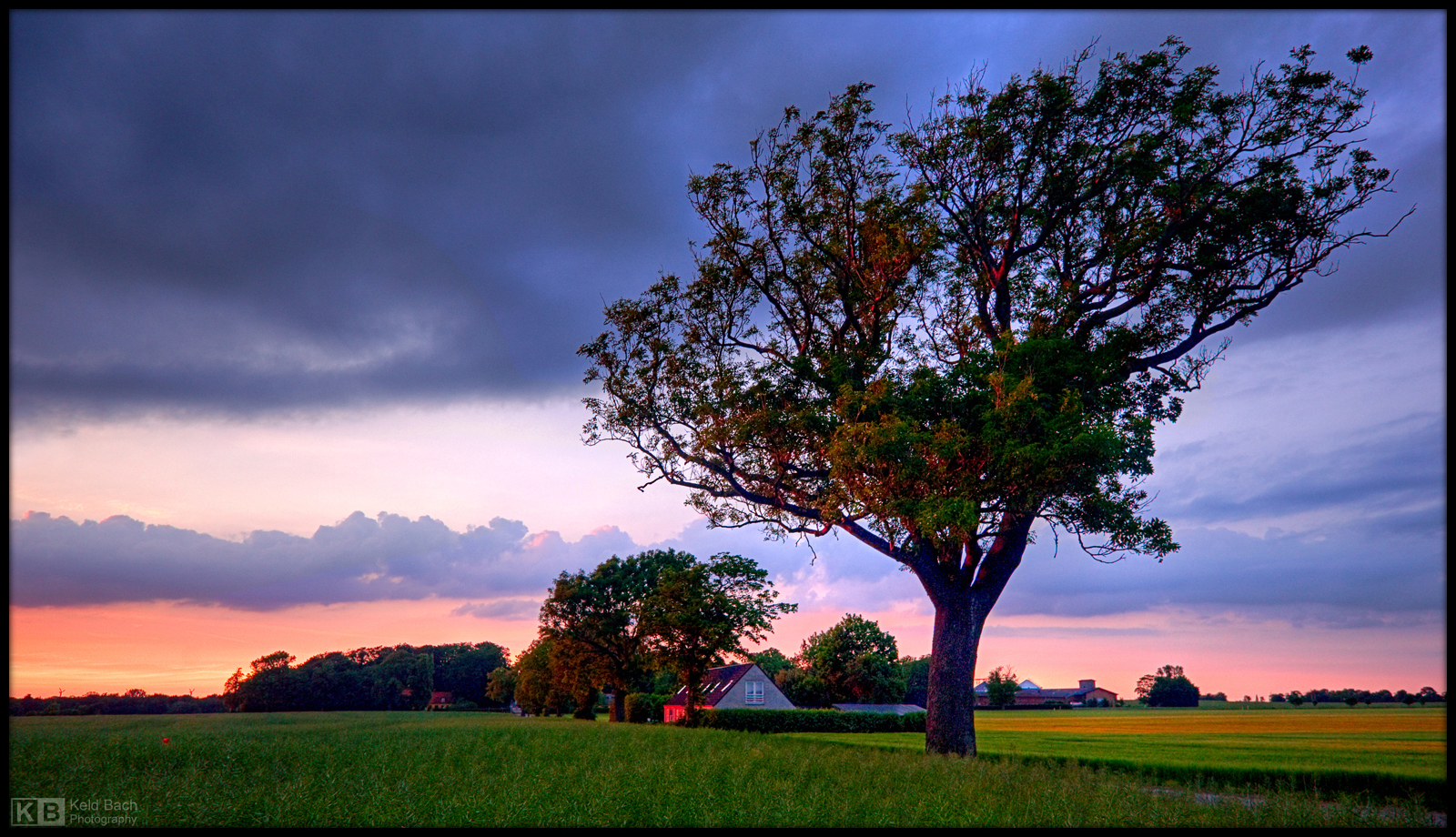 Solstice Evening Mood