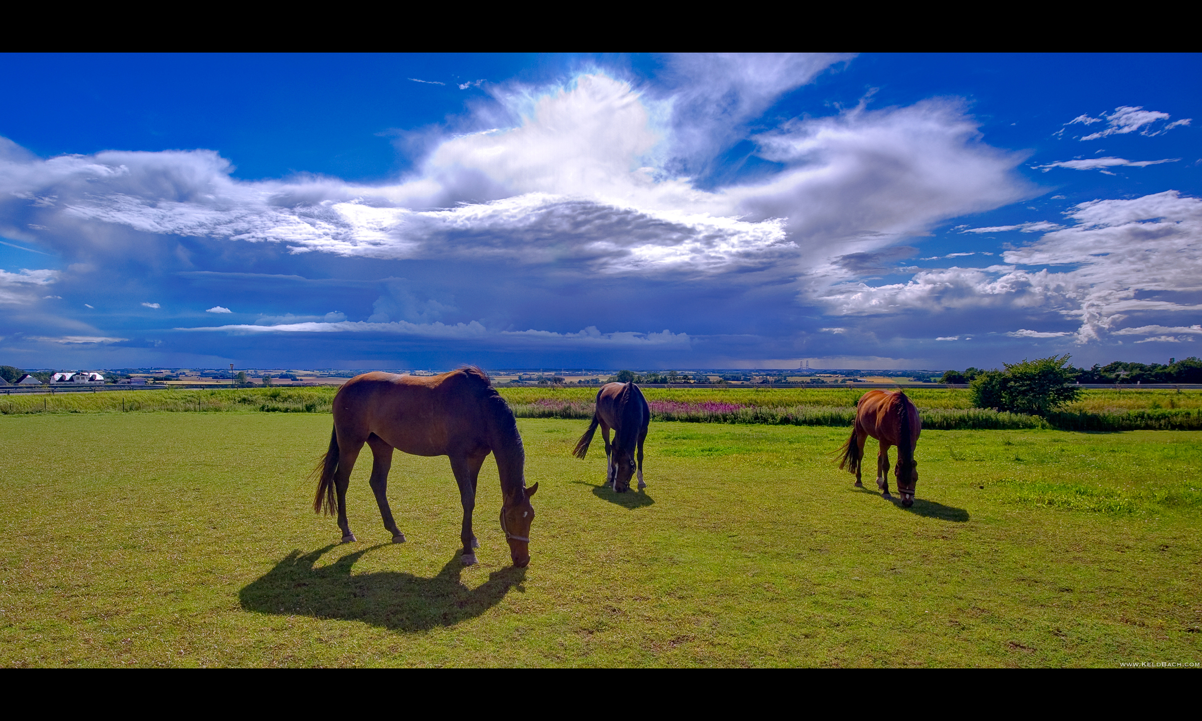 Carefree Life by KeldBach