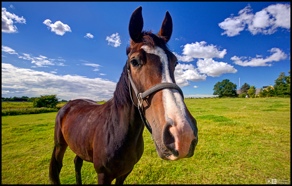 Posing or Just Curious?