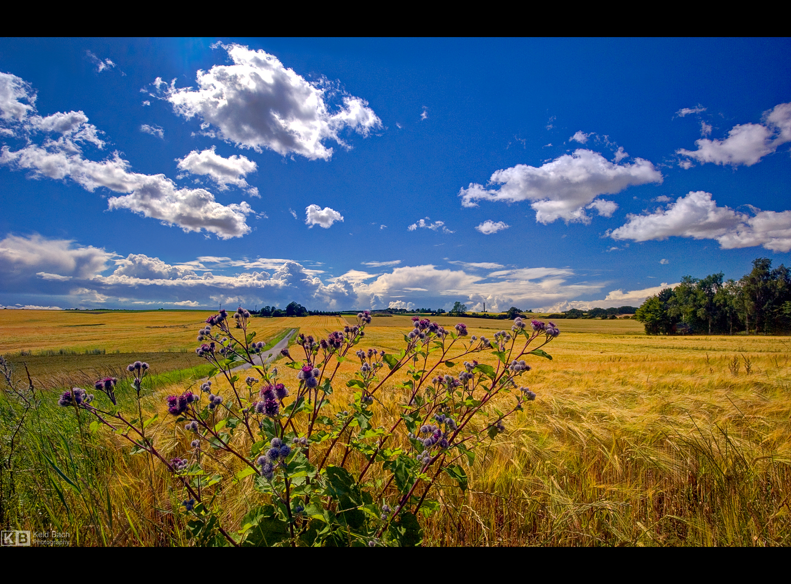 Summer in the Countryside by KeldBach