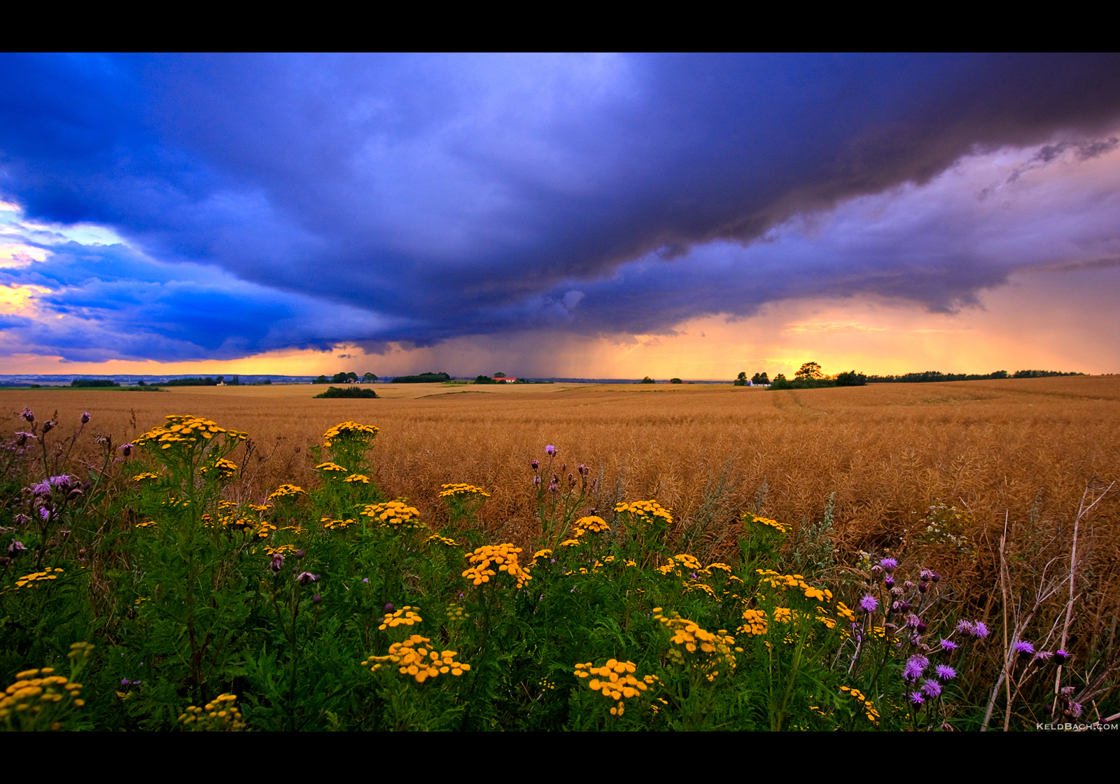 Local Showers by KeldBach