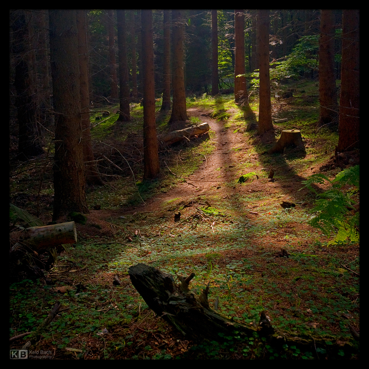 Just Follow the Light by KeldBach