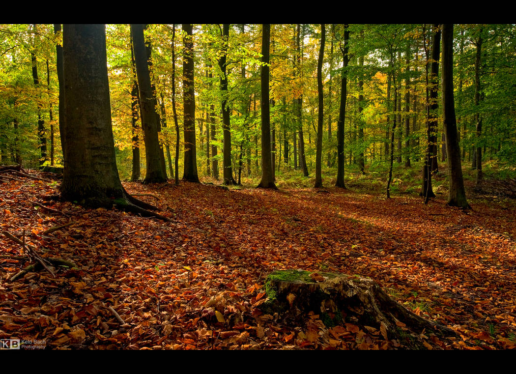 October Mood by KeldBach