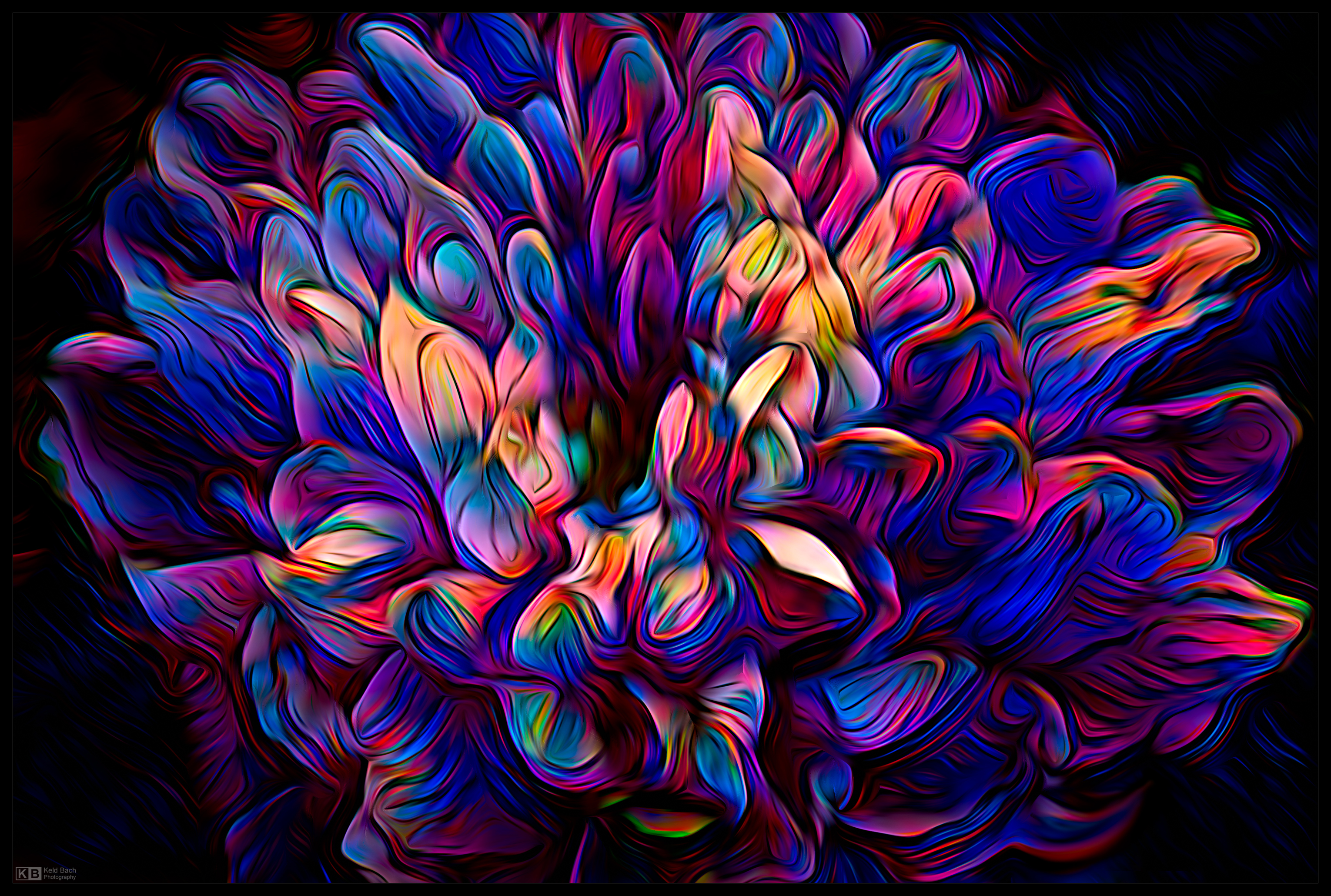 Surreal Chrysanthemum