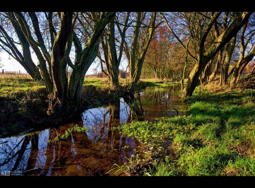 Cattle's Pasture by KeldBach