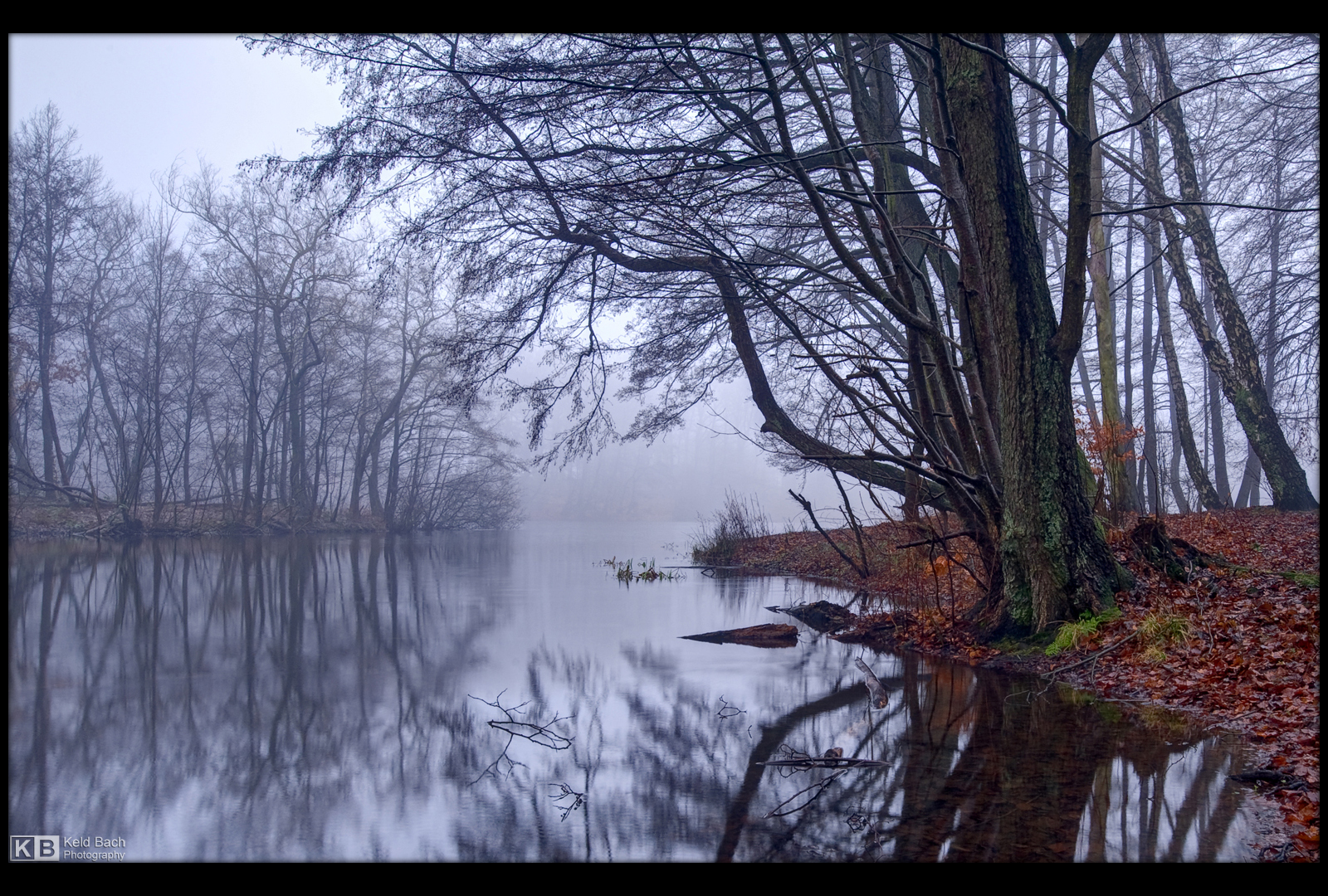 Foggy Day by KeldBach