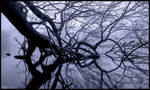 Intricate by KeldBach