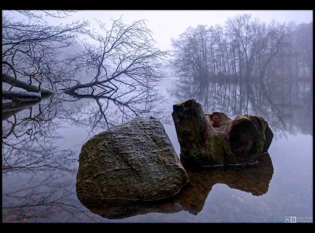 Rock and Stump by KeldBach