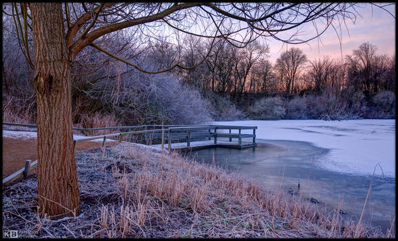 Frosty Morning in the Park