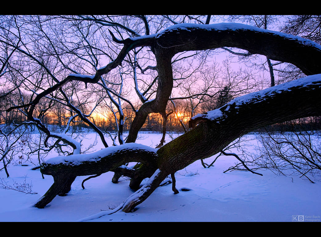 Winter on Fire by KeldBach