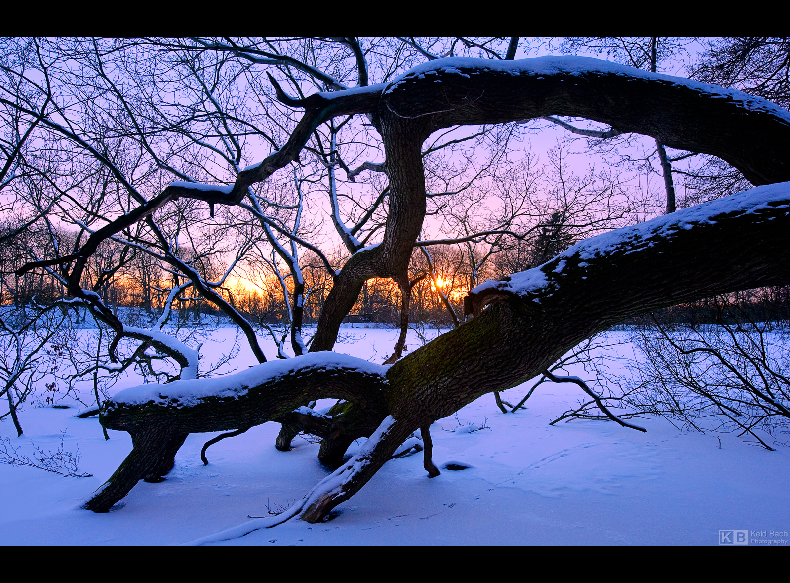 Winter on Fire by KeldBach