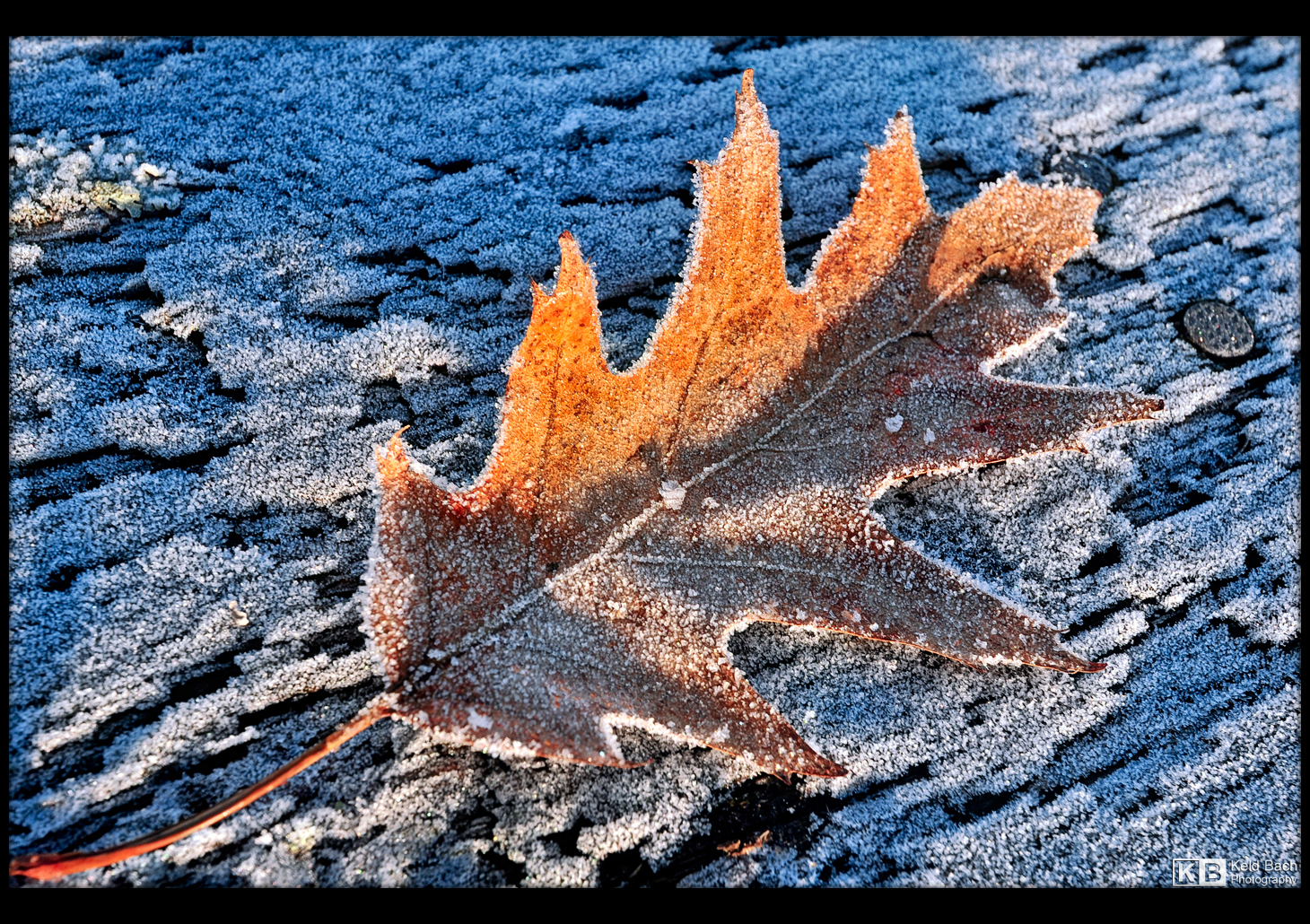 Last Sign of Winter by KeldBach