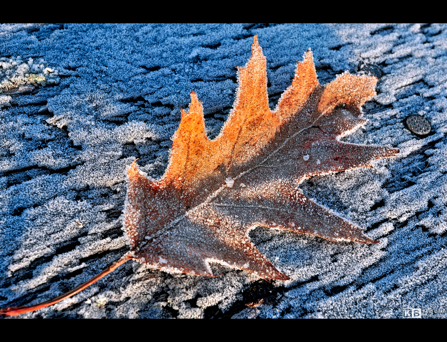 Last Sign of Winter by KeldBach