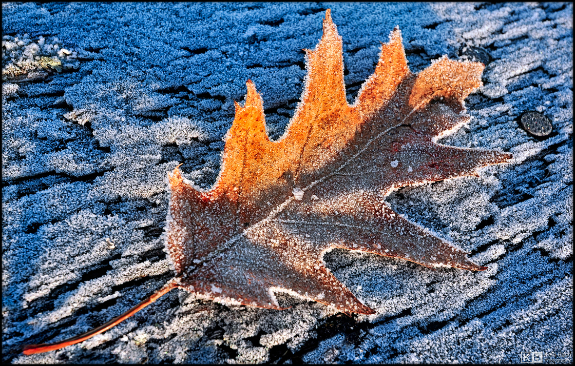 Last Sign of Winter