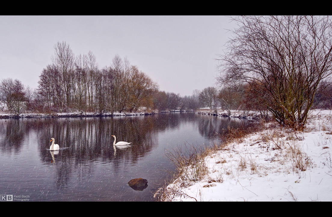 Braving the Cold by KeldBach