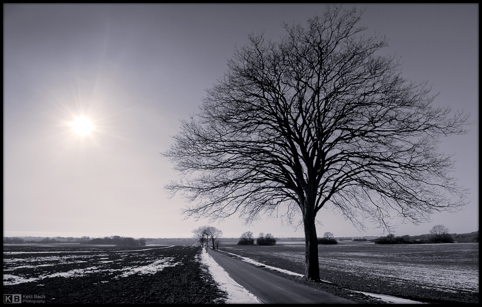 Winter Mood in Mono