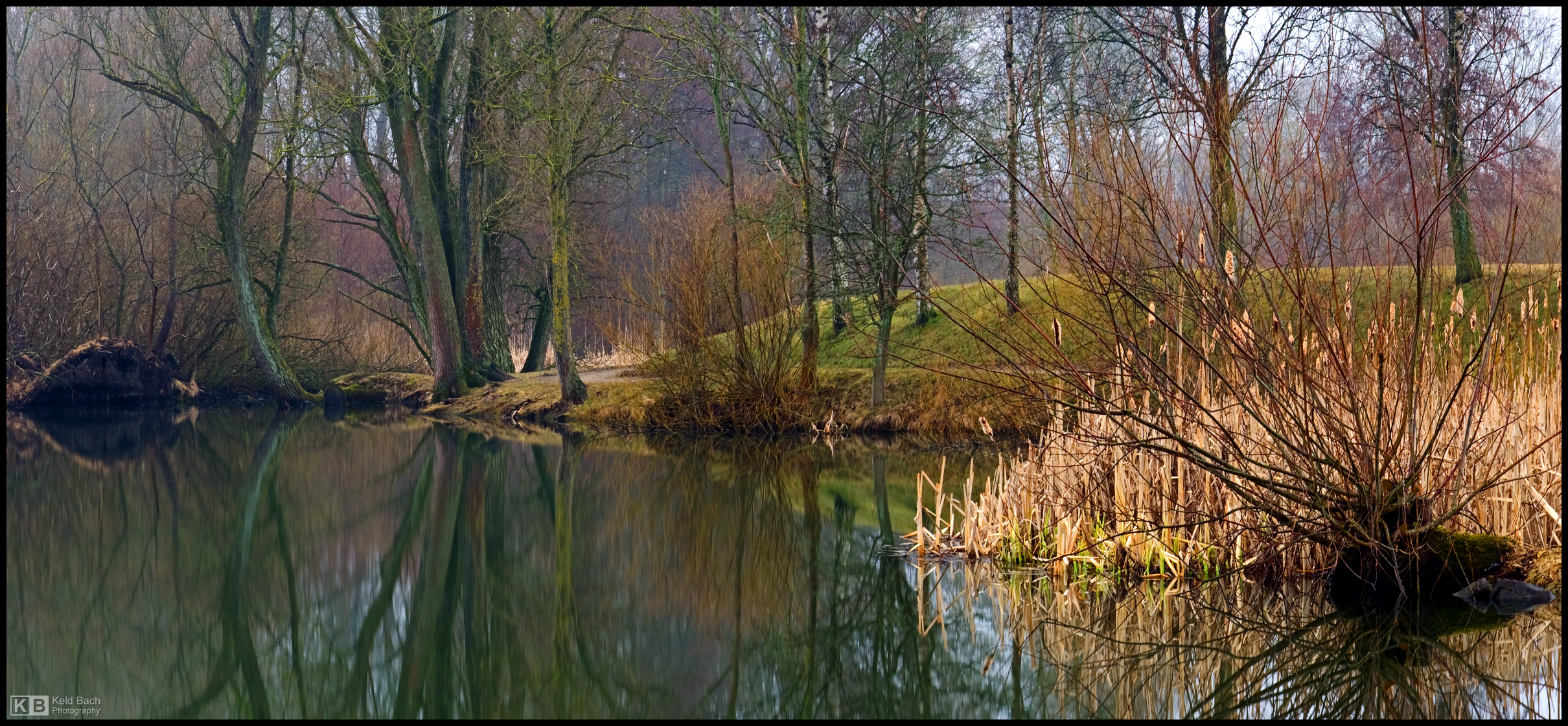Misty Morning in the Park