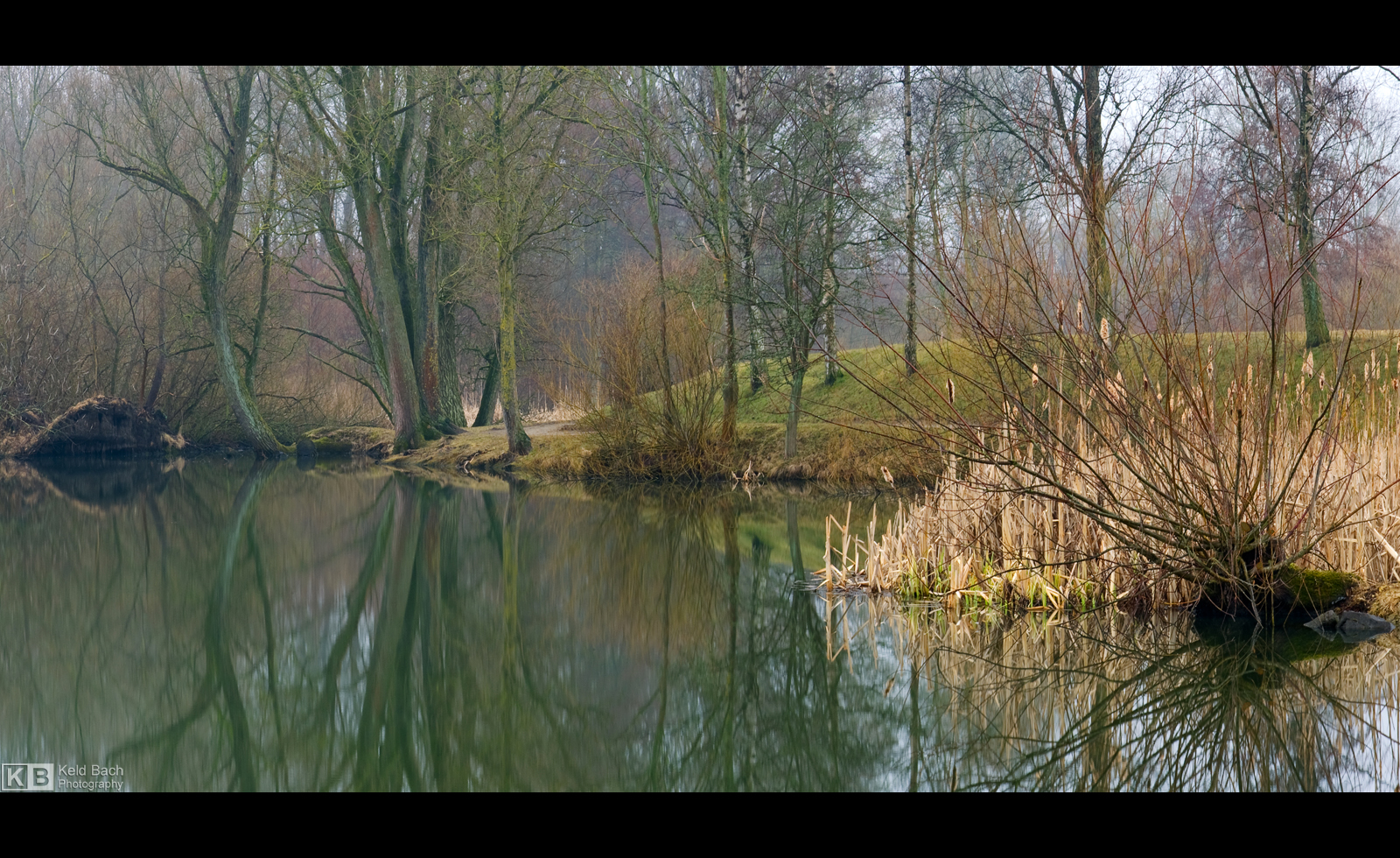 Misty Morning in the Park by KeldBach