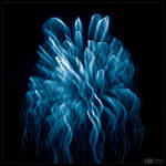 Cosmic Jellyfish by KeldBach