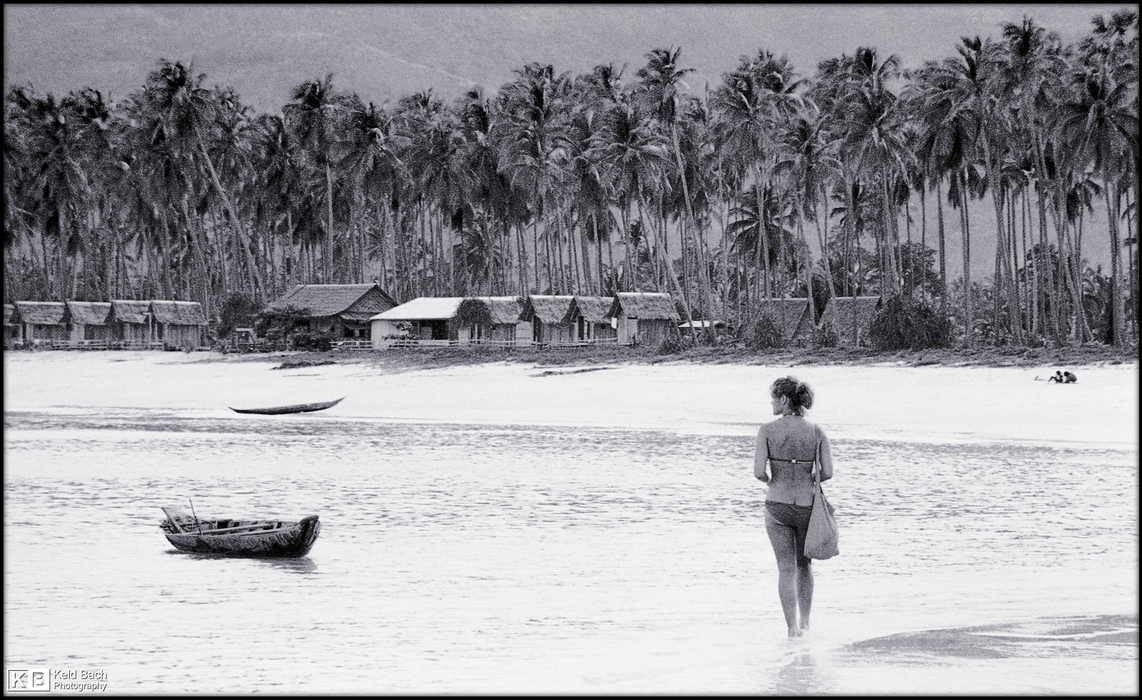 Postcard from Bounty Land