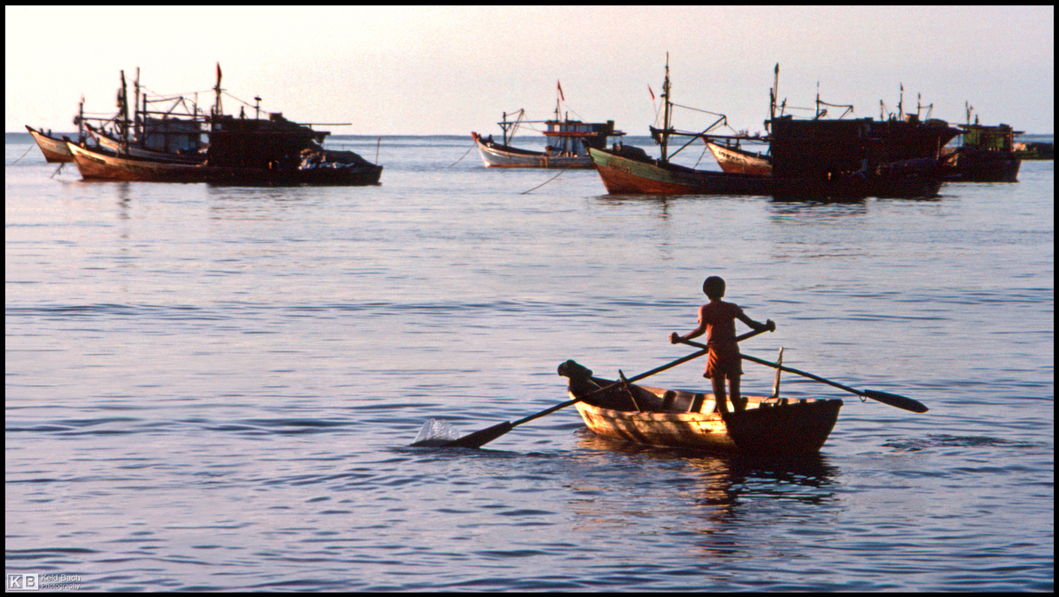 Row, Row, Row Your Boat