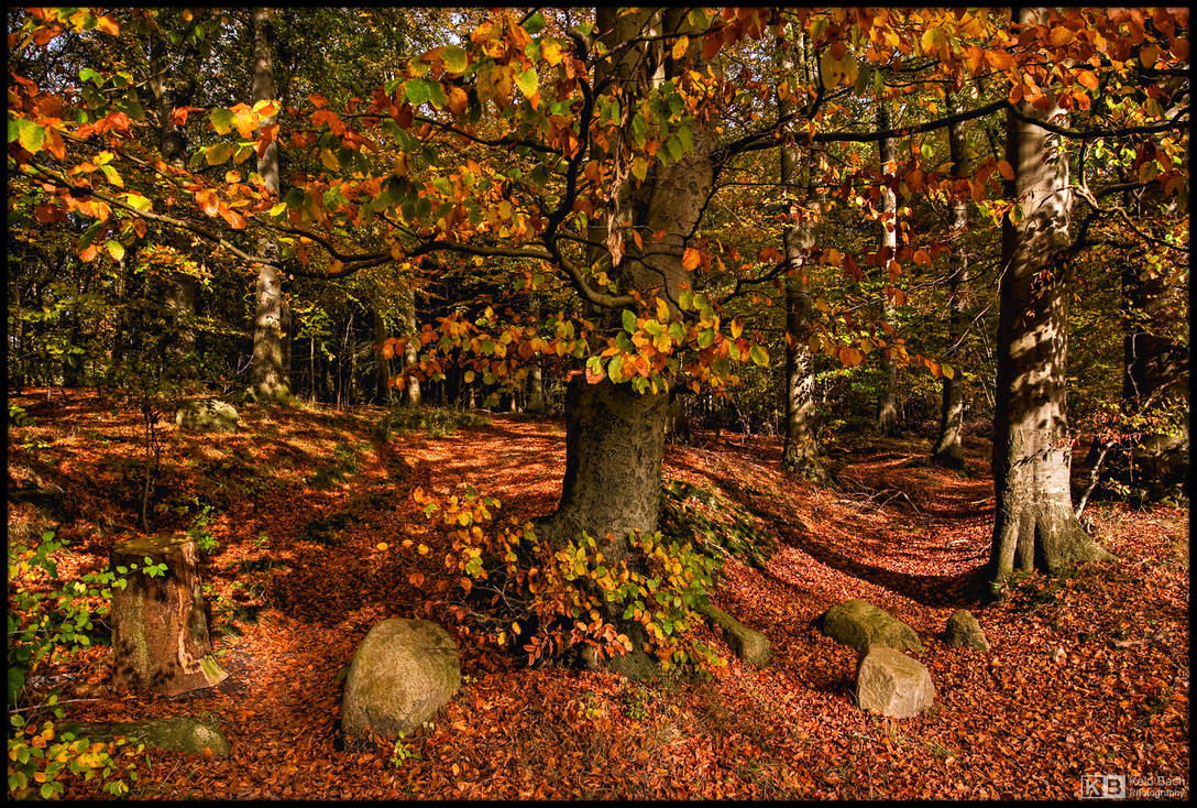 Happy Fall by KeldBach