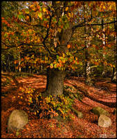 I'm Standing Out by KeldBach