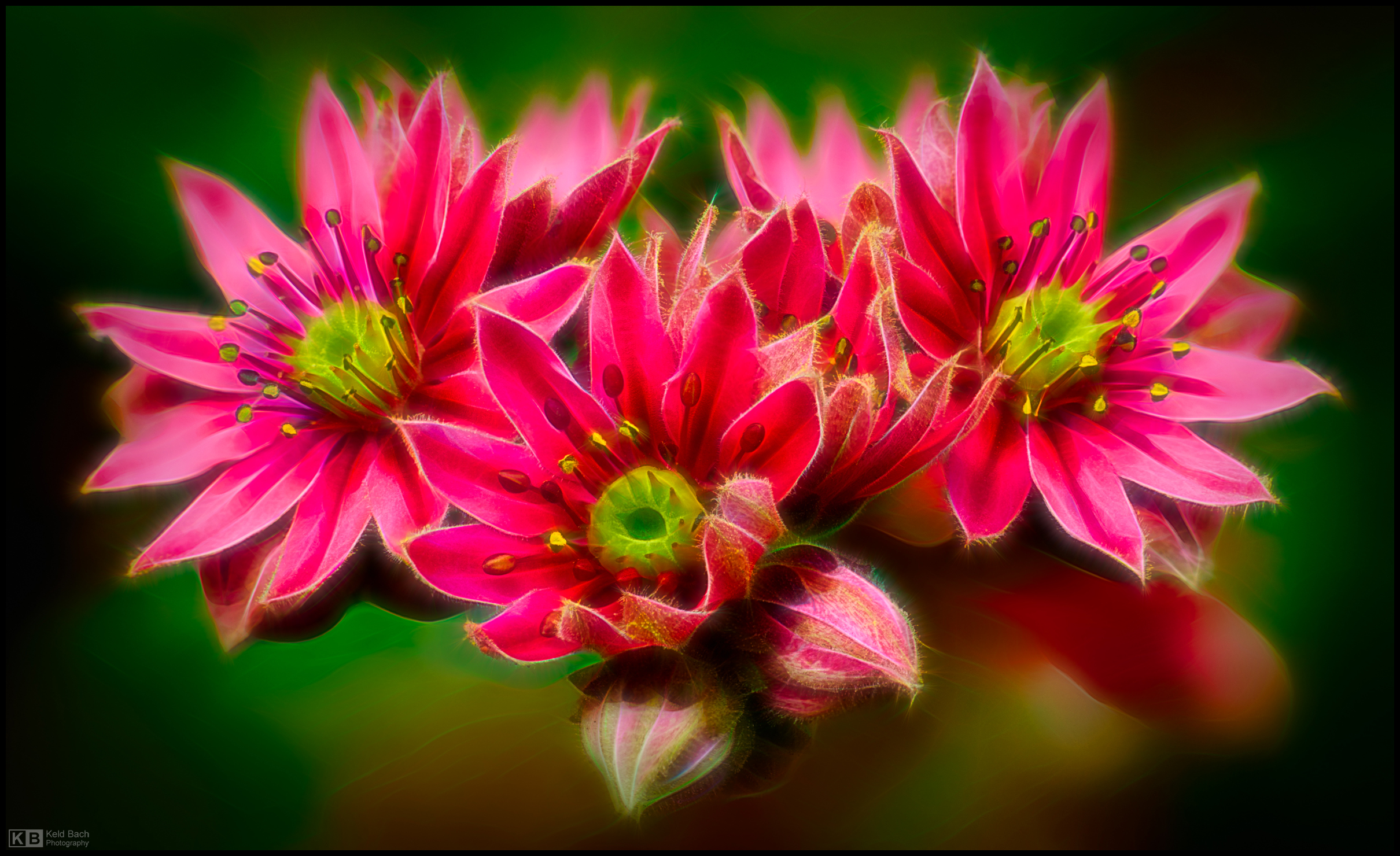 Expressive Progression