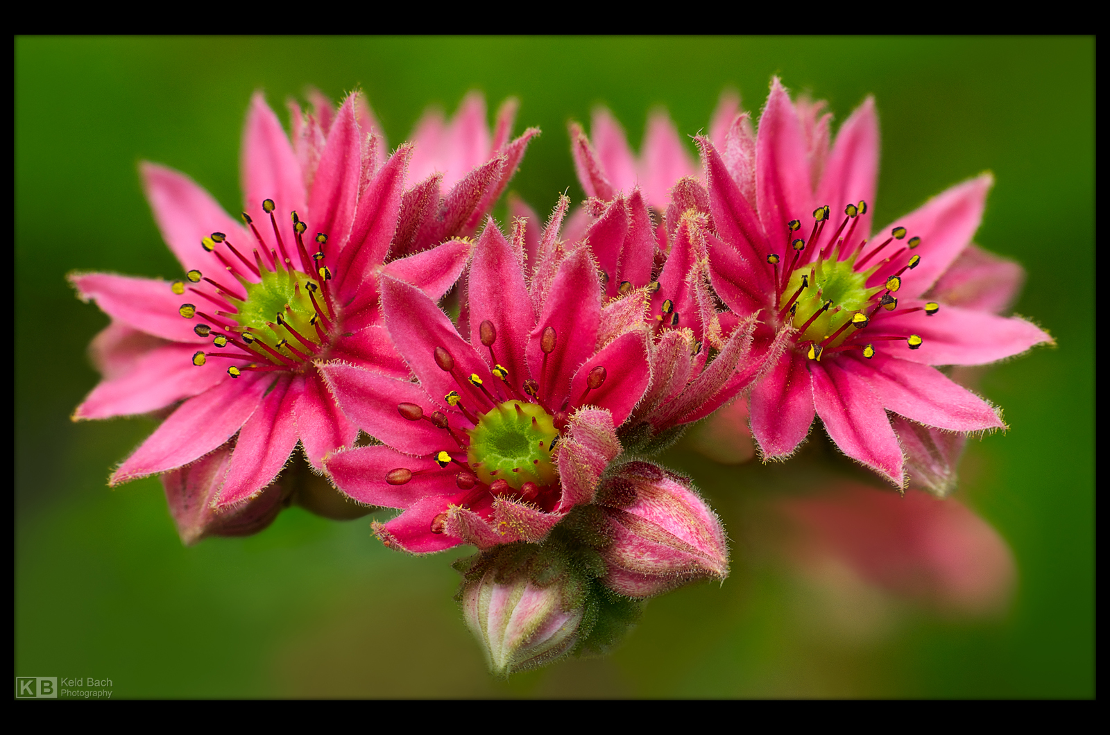 Progressing by KeldBach