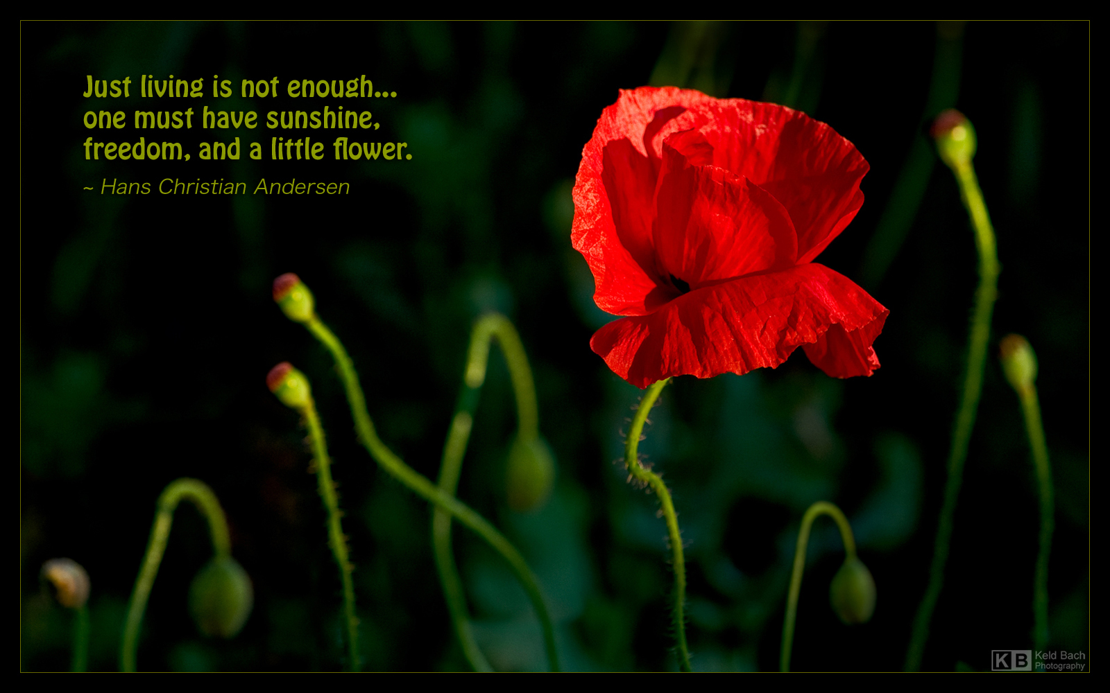 Just Living is Not Enough...