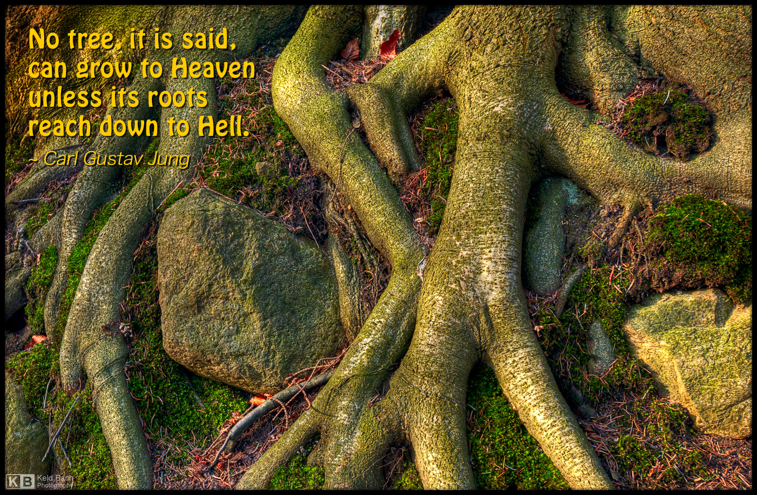 Celestial Roots