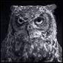 Eagle Owl Portrait in Mono