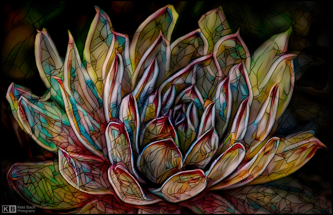 Houseleek in Stained Glass