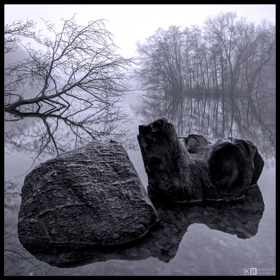 Rock and Stump in Mono