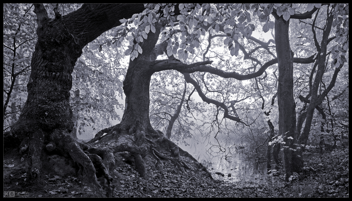 Gnarly Roots in Mono